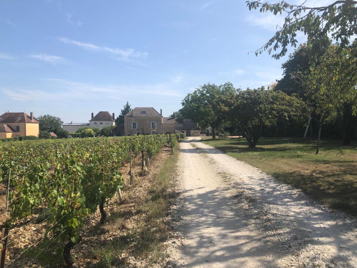 Maison De Pauline, Chablis Vineyard Prehy Exterior photo