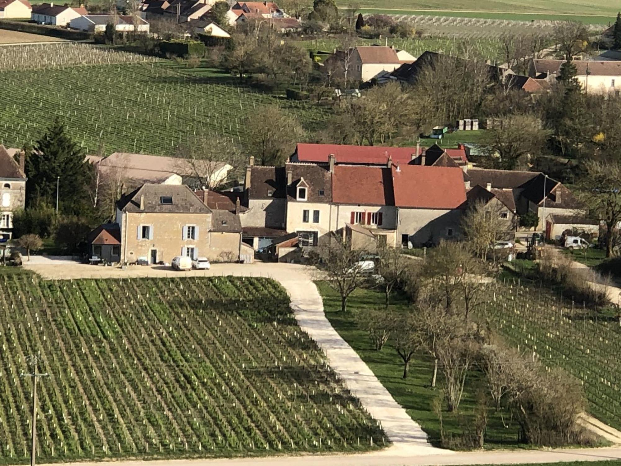 Maison De Pauline, Chablis Vineyard Prehy Exterior photo